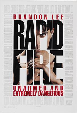 龙霸天下 Rapid Fire海报