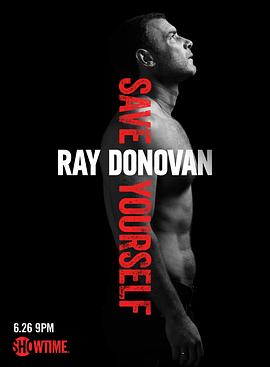 清道夫 第四季 Ray Donovan Season 4海报