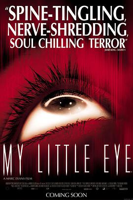 鹰眼下的危房 My Little Eye海报