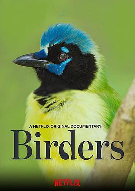 观鸟者 Birders海报