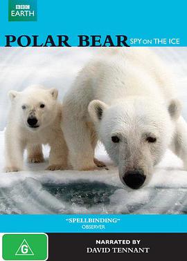 北极熊：冰上侦探 Polar Bear Spy on the Ice海报