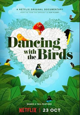 与鸟共舞 Dancing with the Birds海报