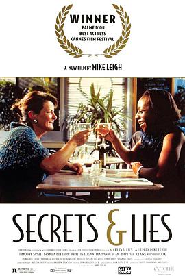 秘密与谎言 Secrets & Lies海报