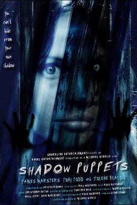 记忆的倒影 Shadow Puppets海报
