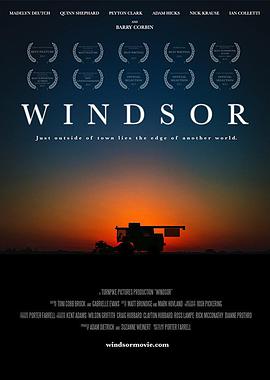 温莎之谜 Windsor海报