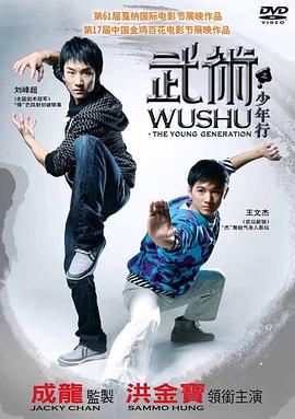 武术之少年行海报