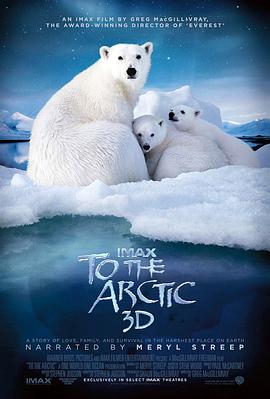 北极 To the Arctic 3D海报