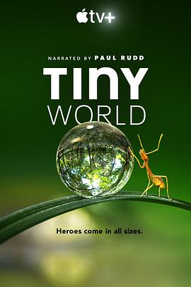 小小世界 Tiny World海报