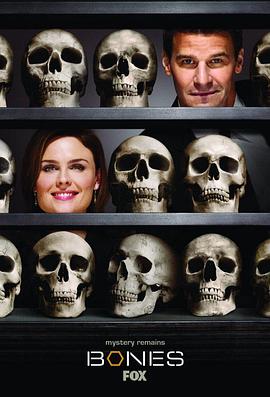 识骨寻踪 第四季 Bones Season 4海报