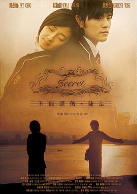 不能说的秘密 不能說的·祕密海报