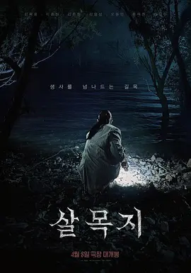 杀木地 살목지海报