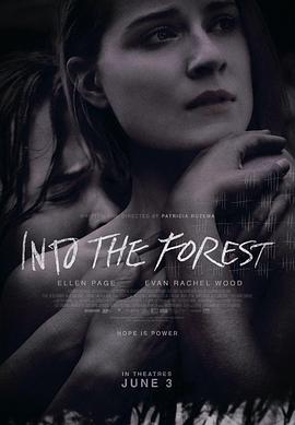 森林深处 Into the Forest海报