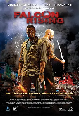 猎鹰突起 Falcon Rising海报