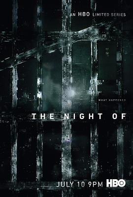 罪夜之奔 The Night Of海报