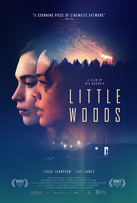 小森林 Little Woods海报