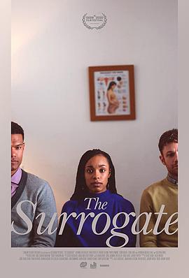 代孕的你 The Surrogate海报