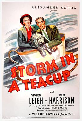 茶杯里的风暴 Storm in a Teacup海报