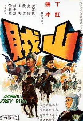 山贼 山賊海报