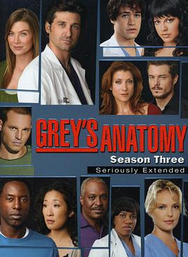 实习医生格蕾 第三季 Grey's Anatomy Season 3海报