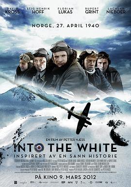 白色严冬 Into the White海报