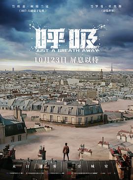 呼吸 Dans la brume海报