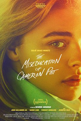 错误教育 The Miseducation of Cameron Post海报