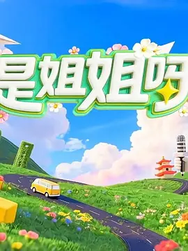 是姐姐呀海报