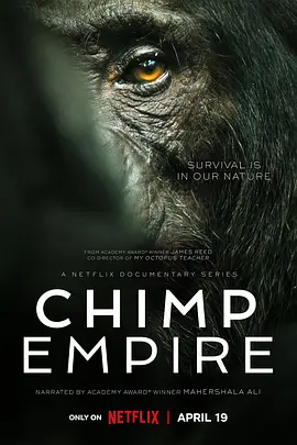 黑猩猩帝国 Chimp Empire海报