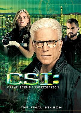 犯罪现场调查 第十五季 CSI: Crime Scene Investigation Season 15海报