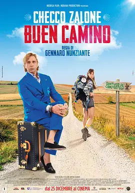 寻女朝圣路 Buen Camino海报