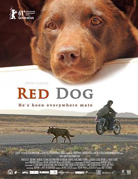 红犬历险记 Red Dog海报