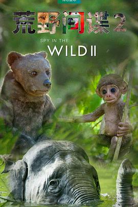荒野间谍 第二季 Spy in the Wild Season 2海报