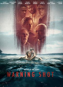 鸣枪警告 Warning Shot海报