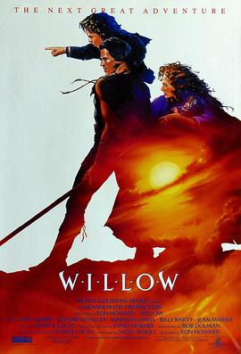 风云际会 Willow海报