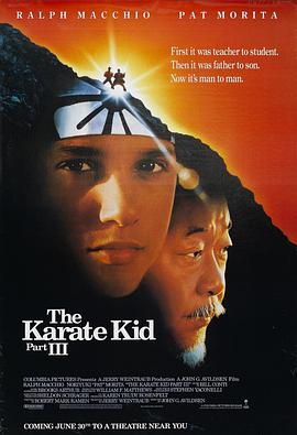 龙威小子3 The Karate Kid Part III海报