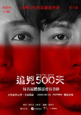 追凶500天 追兇500天海报