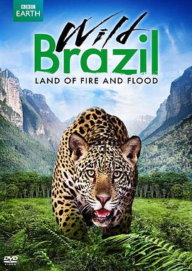 狂野巴西 Wild Brazil海报
