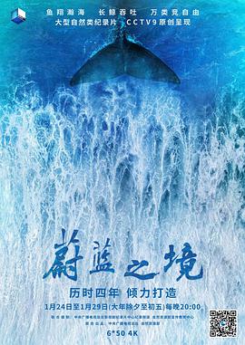 蔚蓝之境海报