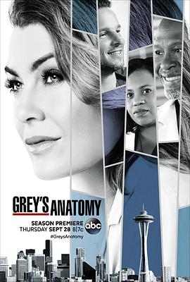 实习医生格蕾 第十四季 Grey's Anatomy Season 14海报