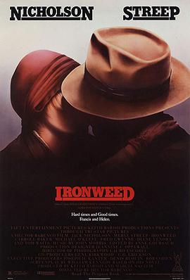 紫苑草 Ironweed海报