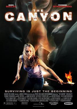 大峡谷 The Canyon海报