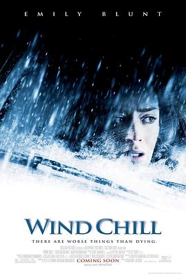 阴风鬼影 Wind Chill海报