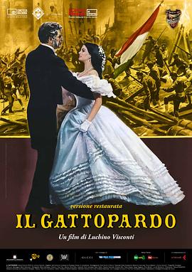 豹 Il gattopardo海报