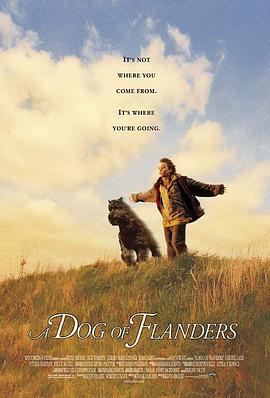 义犬报恩 A Dog of Flanders海报