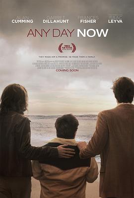 爱若此时 Any Day Now海报