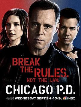 芝加哥警署 第二季 Chicago P.D. Season 2海报