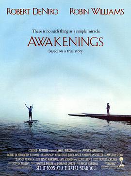 无语问苍天 Awakenings海报