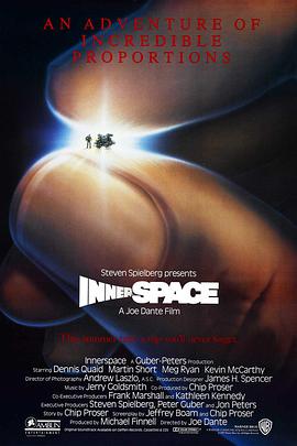 惊异大奇航 Innerspace海报