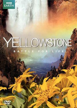 黄石公园 Yellowstone海报