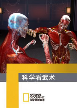科学看武术 Fight Science海报
